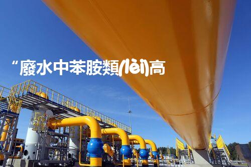 “廢水中苯胺類(lèi)高效處理新法，環(huán)保先鋒引領(lǐng)綠色以后”